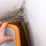 Mold Emergencies