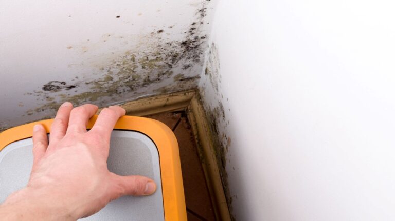 Mold Emergencies