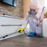 Why furniture pest control is essential
