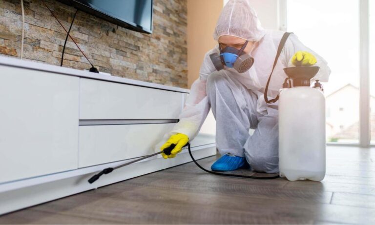 Why furniture pest control is essential