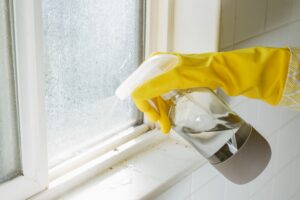 How to Tackle Mold on Window Sills Before It Spreads