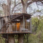 Yoki-Treehouse-Is-a-Luxury-Treetop-Escape-Outside-Austin-2