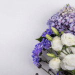 Why Hydrangeas Are the Most Versatile Choice for Any Occasion